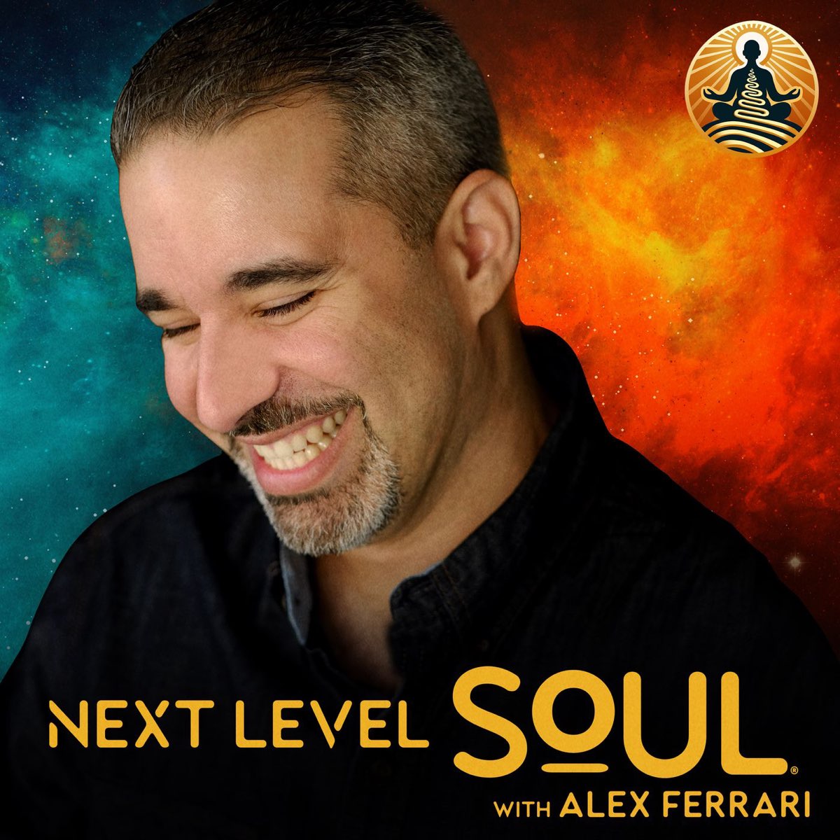 Cover art for the Next Level Soul Podcast podcast